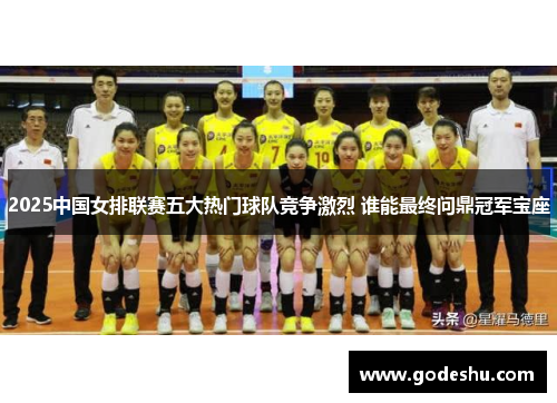 2025中国女排联赛五大热门球队竞争激烈 谁能最终问鼎冠军宝座