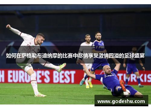 如何在萨格勒布迪纳摩的比赛中尽情享受激情四溢的足球盛宴