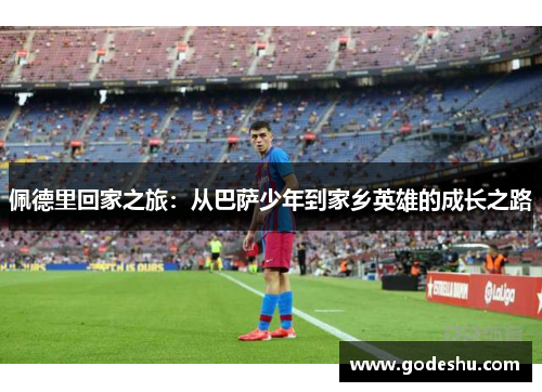 佩德里回家之旅：从巴萨少年到家乡英雄的成长之路