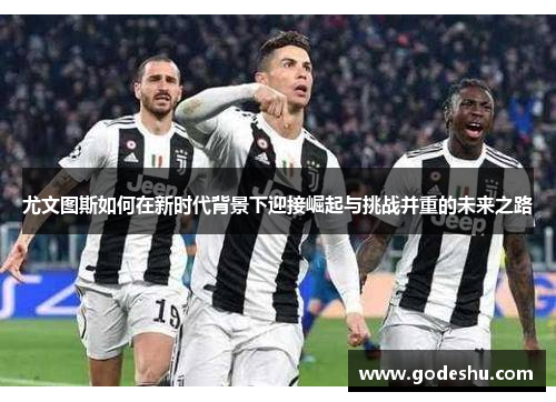 尤文图斯如何在新时代背景下迎接崛起与挑战并重的未来之路