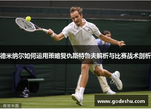 德米纳尔如何运用策略复仇斯特鲁夫解析与比赛战术剖析 德米纳尔如何运用策略复仇斯特鲁夫解析与比赛战术剖析